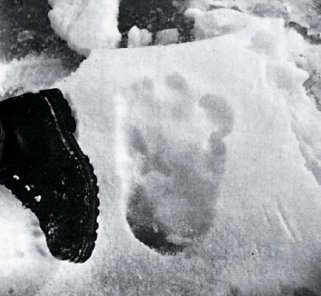yeti footprint w: boot