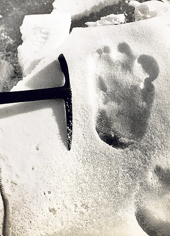 yeti footprint w: iceaxe 2