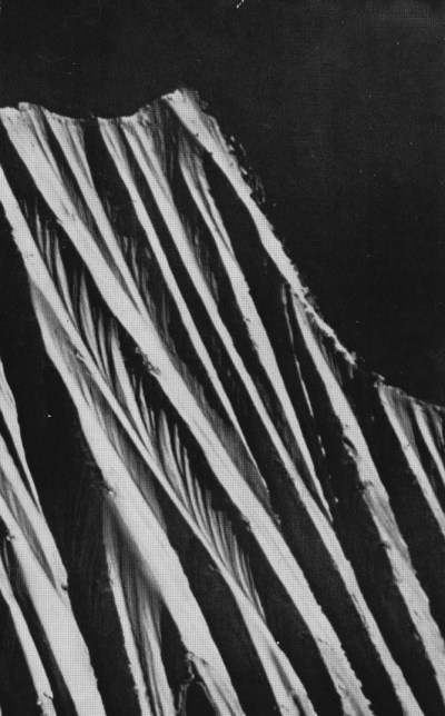 Ward and Gill, barely visible dots just below the summit of Rakpa Peak (named after the Silver Hut mascot).