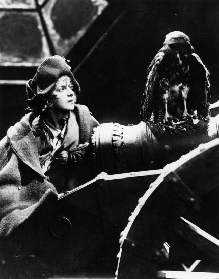 Young Napoleon and the Eagle of Destiny