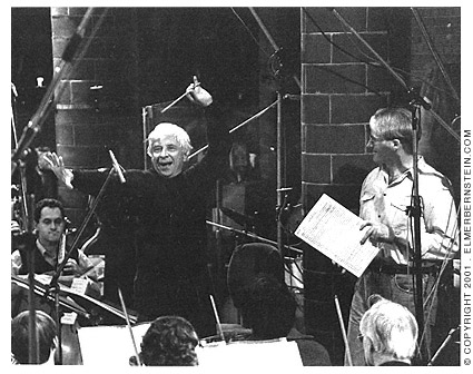 Bernstein and Palmer in 1995