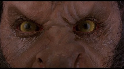 large_american_werewolf_london_blu-ray_10