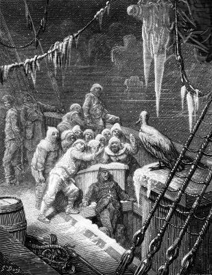 "The Albatross did follow, And every day, for food or play, Came to the mariner's hollo!"